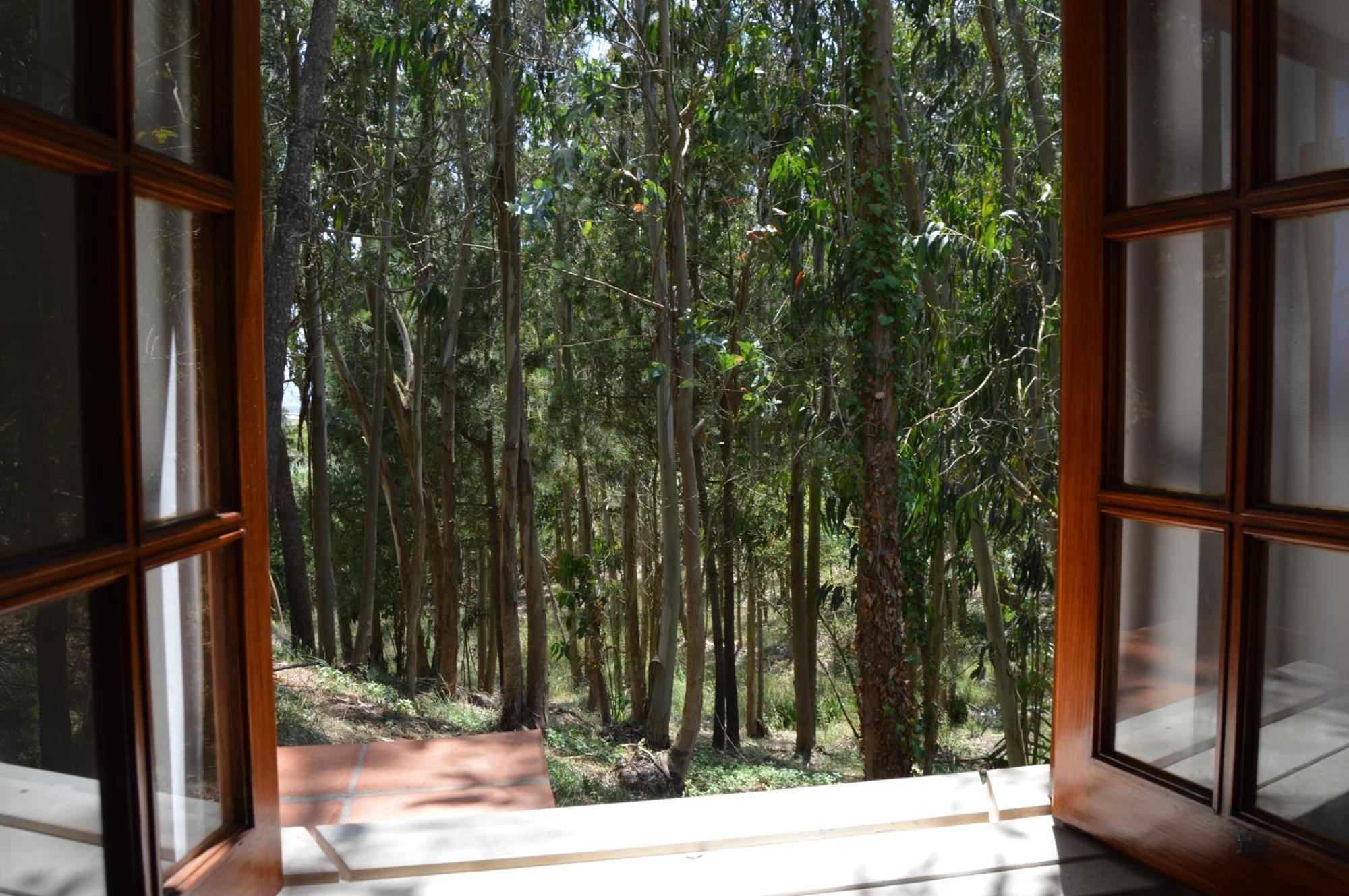 Quinta Dos Mangues Villa São Martinho do Porto Room photo